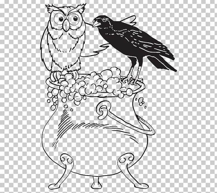 Owl Drawing Line Art PNG, Clipart, Animals, Art, Artwork, Beak, Bird Free PNG Download