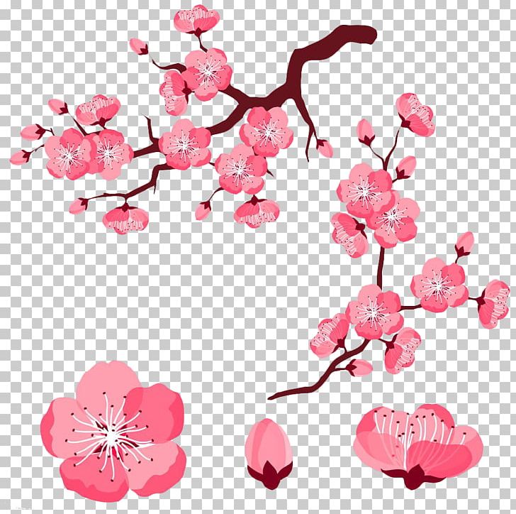Cherry Blossom Adobe Illustrator PNG, Clipart, Balloon Cartoon, Blossom, Boy Cartoon, Branch, Cartoon Free PNG Download