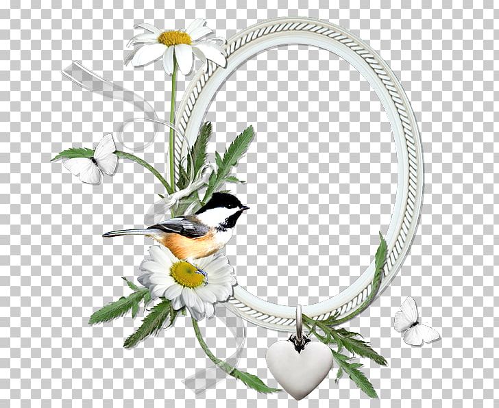 Frames Paper Scrap Molding PNG, Clipart, Beautiful, Cluster, Cut Flowers, Desktop Wallpaper, Digital Photo Frame Free PNG Download