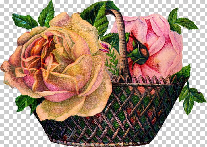 Garden Roses Flower Bouquet PNG, Clipart, Cut Flowers, Flower, Flower Arranging, Pink, Plant Free PNG Download