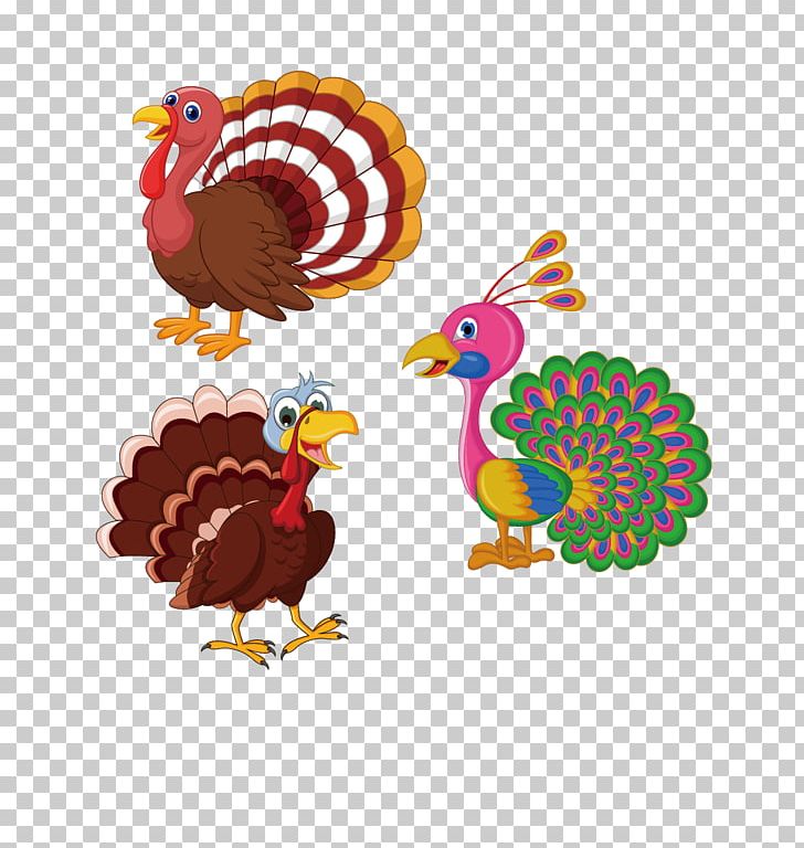 Turkey PNG, Clipart, Animals, Beak, Bird, Cartoon, Cartoon Eyes Free PNG Download
