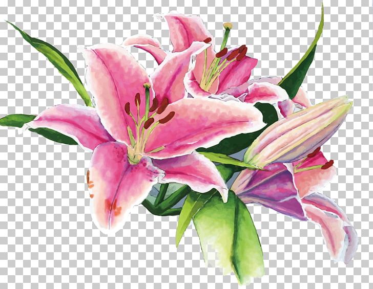 Floral Design Lilium Watercolor Painting PNG, Clipart, Art, Calla Lily, Cut Flowers, Floristry, Flowe Free PNG Download