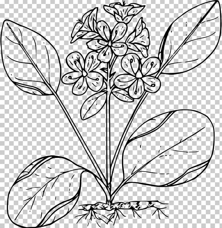 Flower Floral Design Black And White PNG, Clipart, Art, Artwork, Black And White, Branch, Cut Flowers Free PNG Download