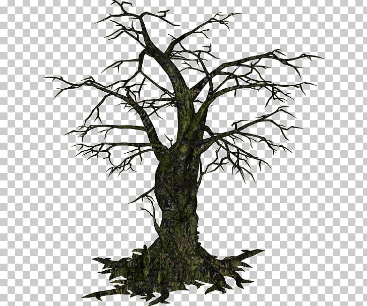 Tree Oak Woody Plant PNG, Clipart, Black And White, Branch, Clip Art, Computer Icons, Creepy Free PNG Download
