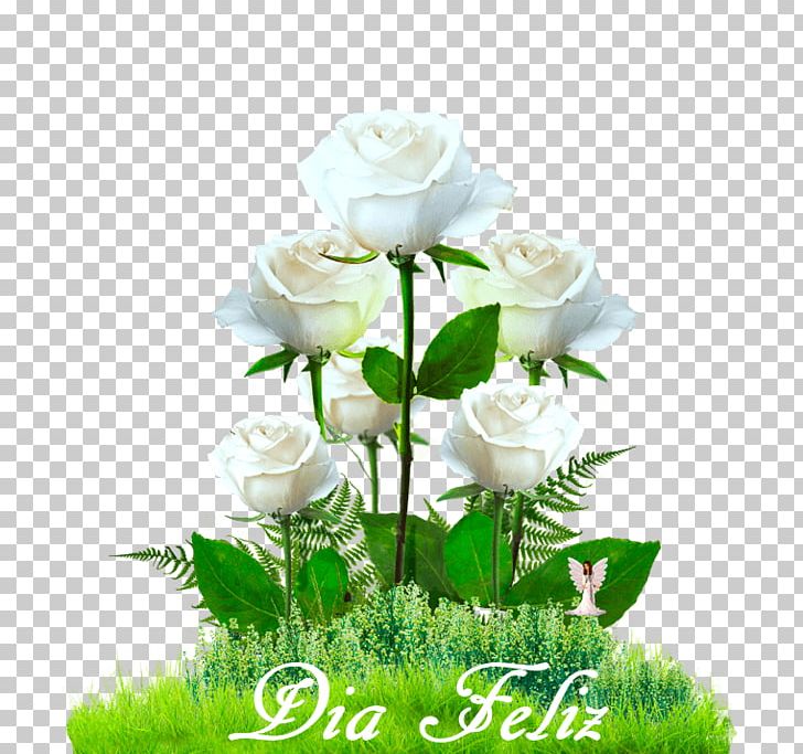 Garden Roses Cabbage Rose Cut Flowers PNG, Clipart, Artificial Flower, Blog, Cut Flowers, Desktop Wallpaper, Floral Design Free PNG Download