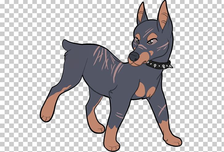 Miniature Pinscher Australian Kelpie Lancashire Heeler Australian Cattle Dog Dog Breed PNG, Clipart, Animal, Animals, Australian Cattle Dog, Australian Kelpie, Breed Free PNG Download