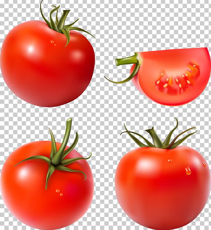 Tomato Juice Salsa Pizza Vegetable PNG, Clipart, Bell Pepper, Bush Tomato, Chili Pepper, Cucumber, Diet Food Free PNG Download