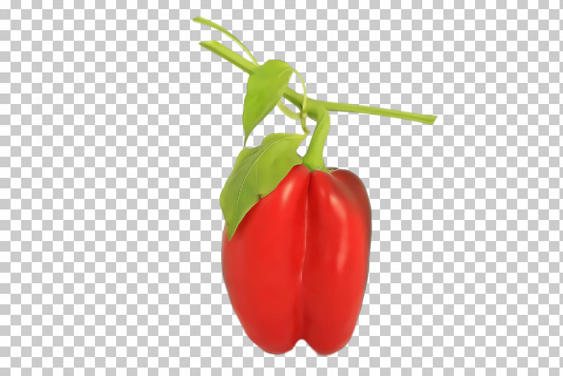 Tomato PNG, Clipart, Bell Pepper, Birds Eye Chili, Capsicum Annuum Var Acuminatum, Cayenne Pepper, Habanero Free PNG Download