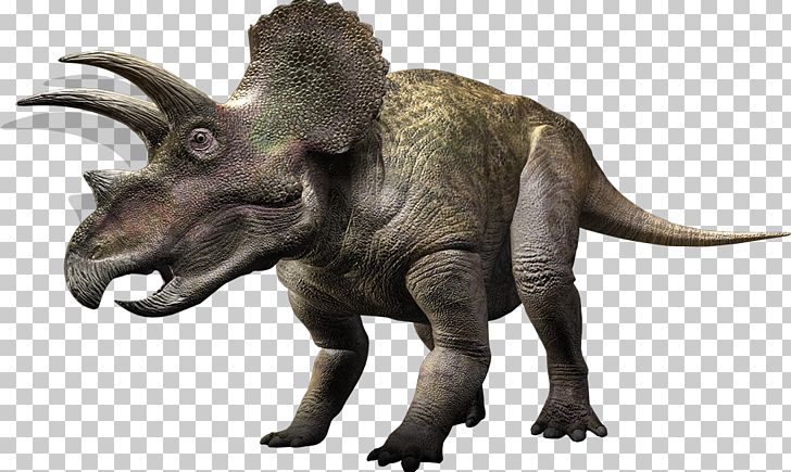 Carnivores: Dinosaur Hunter Torosaurus Triceratops Ceratopsia Tyrannosaurus PNG, Clipart, Carnivores Dinosaur Hunter, Ceratopsidae, Cretaceous, Dino Png, Extinction Free PNG Download