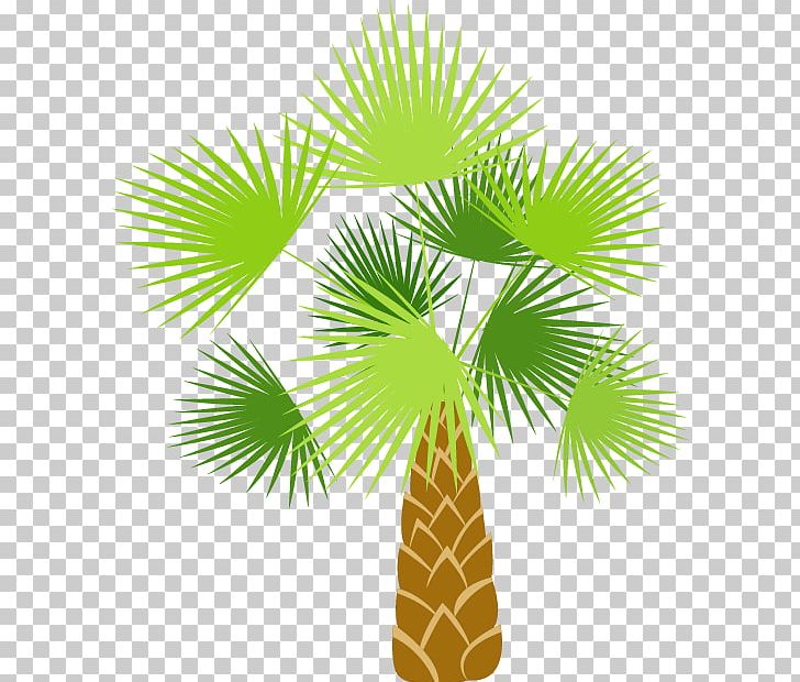 Coconut Tree Arecaceae Cartoon PNG, Clipart, Arecales, Balloon Cartoon, Beach, Borassus Flabellifer, Boy Cartoon Free PNG Download
