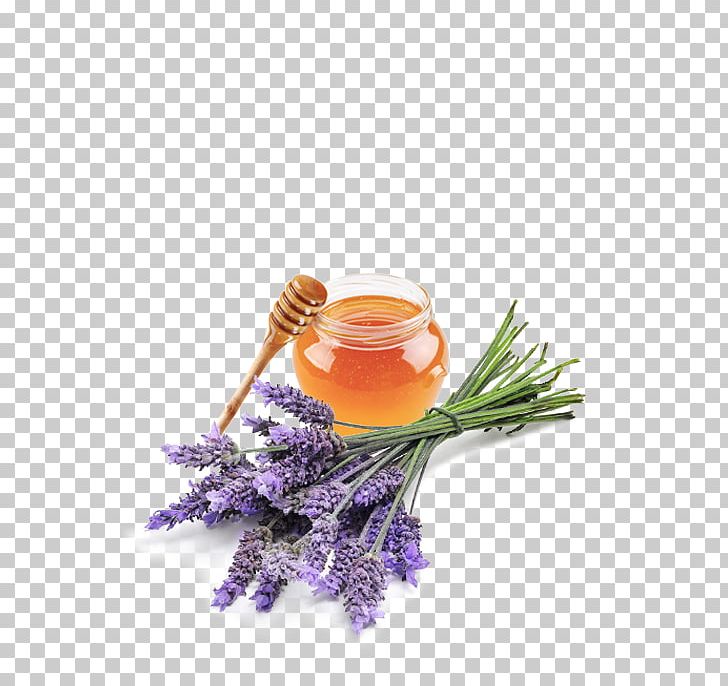 English Lavender Lavender Oil Essential Oil Perfume Health PNG, Clipart, Aroma Compound, Aromatherapy, English Lavender, Essential Oil, Flower Free PNG Download
