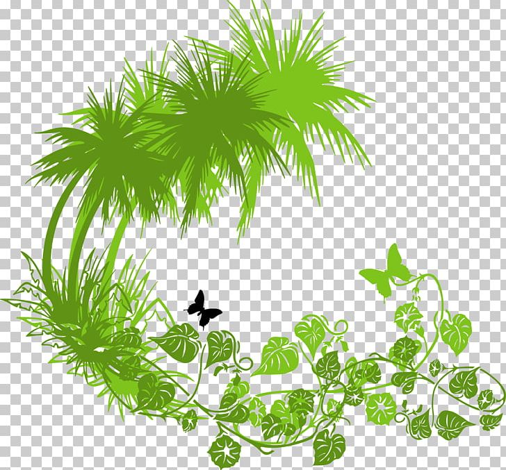 Green PNG, Clipart, Branch, Christmas Tree, Coconut Tree, Coconut Vector, Computer Wallpaper Free PNG Download