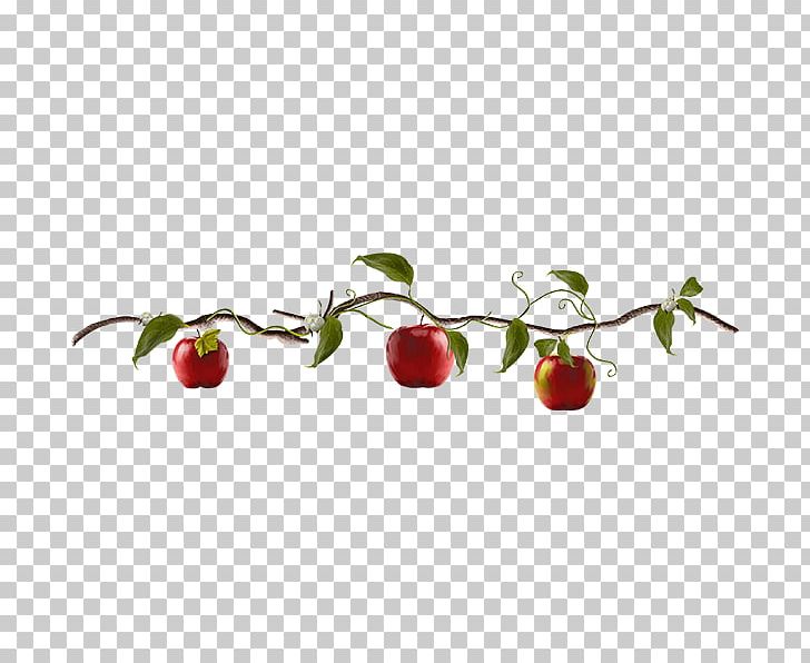 Apple Fruit PNG, Clipart, Adobe Illustrator, Animation, Apple, Apple Fruit, Apples Free PNG Download