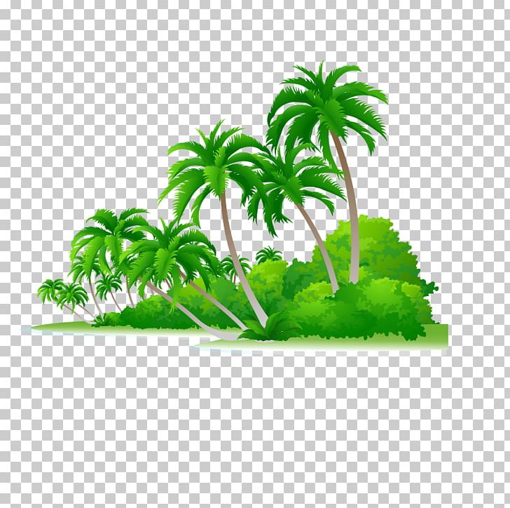 Arecaceae Shrub Illustration PNG, Clipart, Arecales, Black Forest, Cartoon, Drawing, Euclidean Vector Free PNG Download