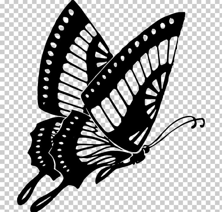Butterfly Black And White Insect PNG, Clipart, Arthropod, Brush Footed Butterfly, Butterflies And Moths, Butterfly, Color Free PNG Download