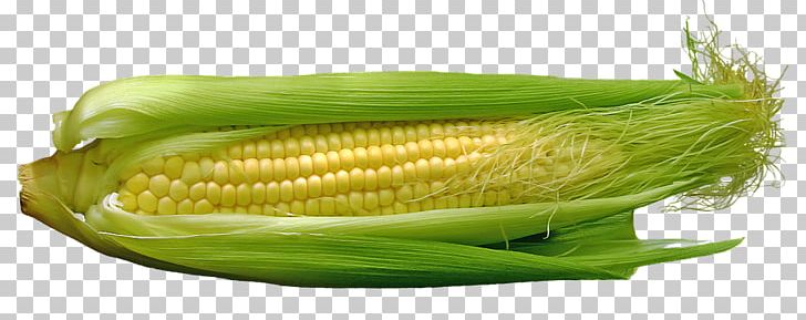 Corn On The Cob Maize Food Corn Kernel PNG, Clipart, Cob, Commodity, Corn, Corncob, Corn Kernel Free PNG Download