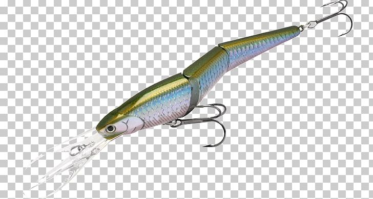 Spoon Lure Fishing Bait Lucky Craft Lure Co Eye Color PNG, Clipart, Bait, Color, Eye, Fat, Fish Free PNG Download