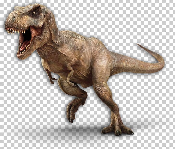 Tyrannosaurus Velociraptor Spinosaurus Therizinosaurus Jurassic Park PNG, Clipart, Animatronics, Dinosaur, Dinosaur Era, Extinction, Giganotosaurus Free PNG Download