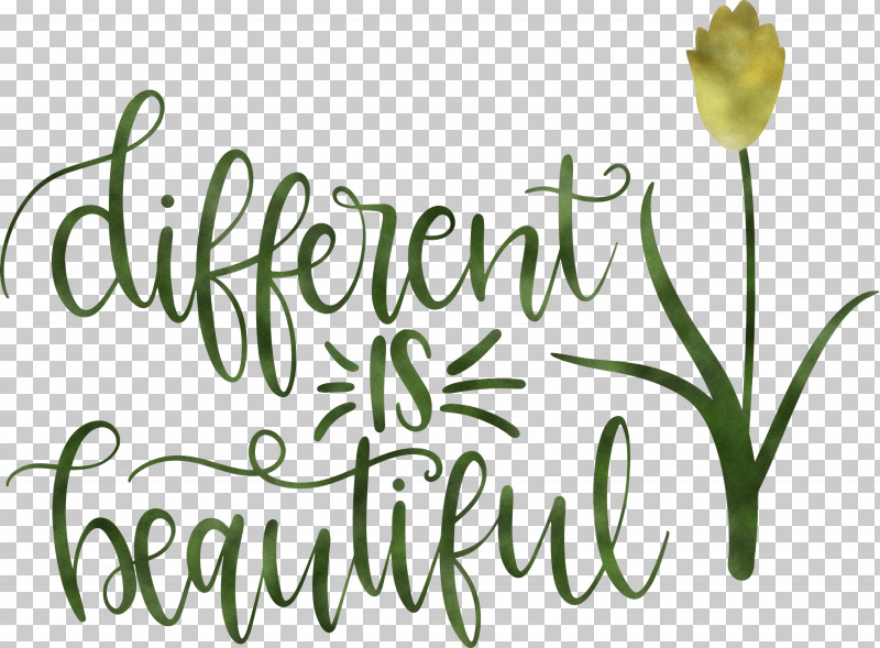 Different Is Beautiful Womens Day PNG, Clipart, Biology, Cut Flowers, Floral Design, Flower, Meter Free PNG Download