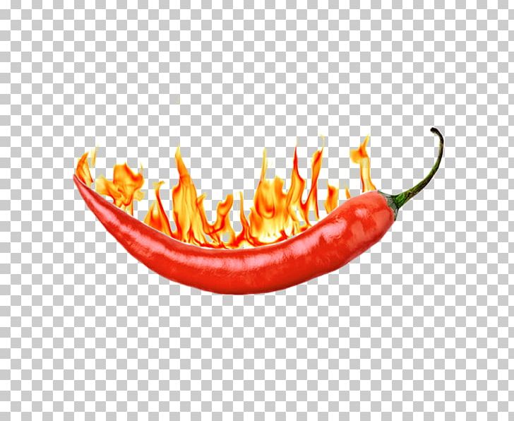 Bird's Eye Chili Tabasco Pepper Serrano Pepper Cayenne Pepper Chili Pepper PNG, Clipart,  Free PNG Download