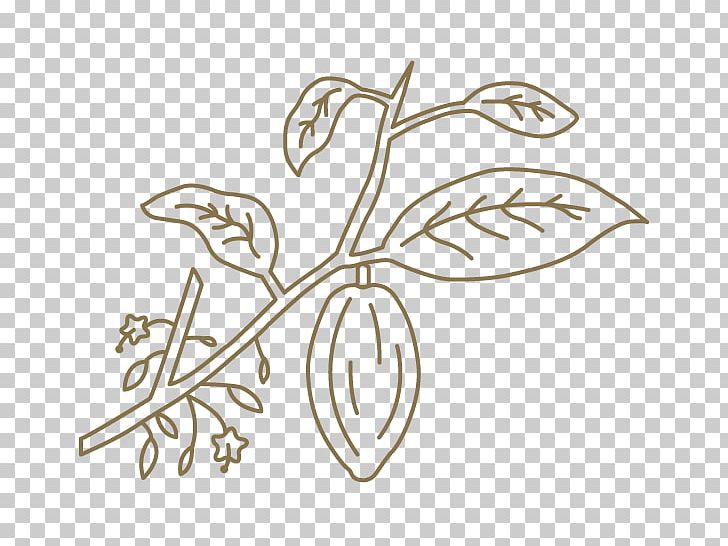 Cocoa Bean Cholaca Superfood Petal PNG, Clipart, Art, Black And White, Branch, Cocoa Bean, Drawing Free PNG Download