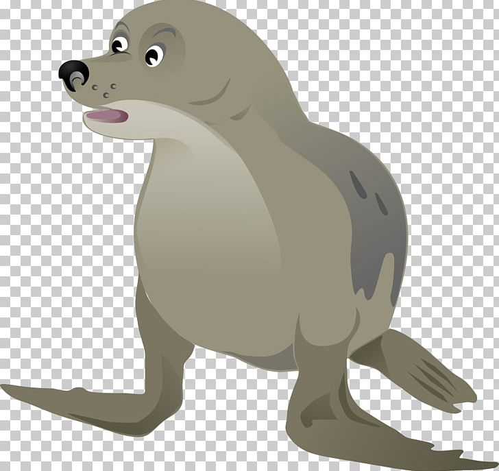 Free Pinniped Grey Seal PNG, Clipart, Animal Figure, Animation, Beak, Bear, Carnivoran Free PNG Download