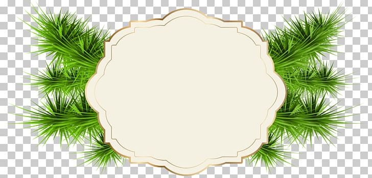 Santa Claus Christmas Card Greeting & Note Cards PNG, Clipart, Branch, Christmas, Christmas Card, Christmas Tree, Gift Free PNG Download