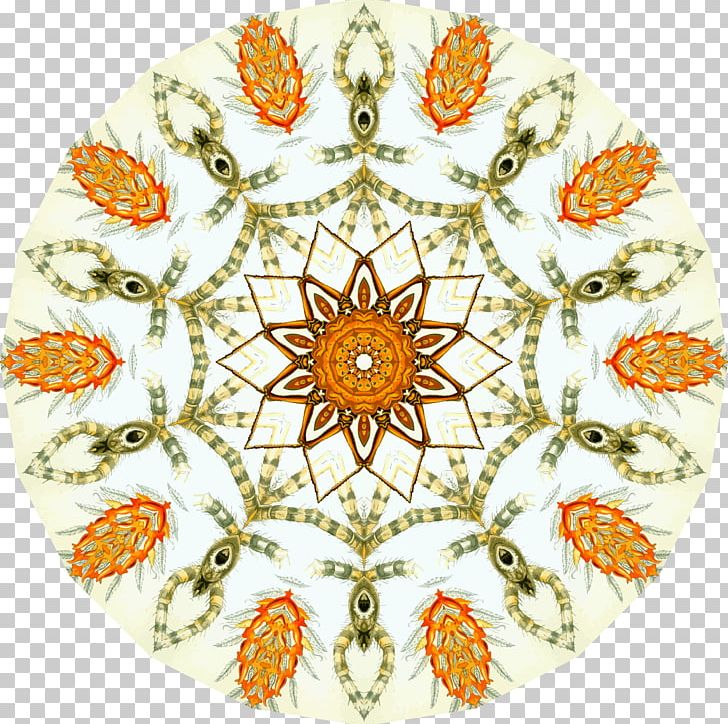Symmetry Flower Line Dahlia Pattern PNG, Clipart, Arachnid, Area, Circle, Dahlia, Flower Free PNG Download