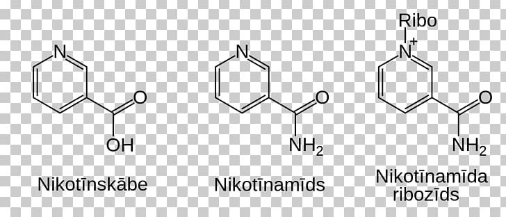 Nicotinamide Adenine Dinucleotide Nicotinamide Riboside PNG, Clipart, Angle, Auto Part, Hand, Logo, Material Free PNG Download