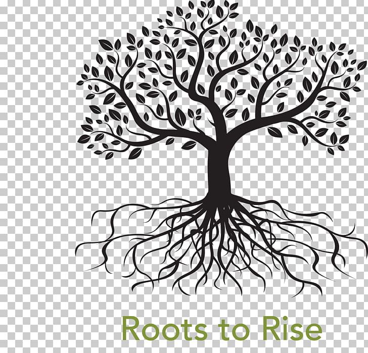 Root Tree Drawing PNG, Clipart, Artwork, Black And White, Branch, Computer Icons, Family Tree Free PNG Download