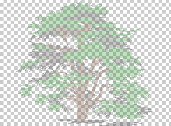 Tree Evergreen PNG, Clipart, Arborist, Arecaceae, Branch, Drawing, Evergreen Free PNG Download
