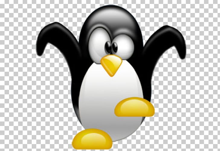Tuxedo Penguin How-to Desktop PNG, Clipart, Animals, Beak, Bird, Desktop Wallpaper, Flightless Bird Free PNG Download