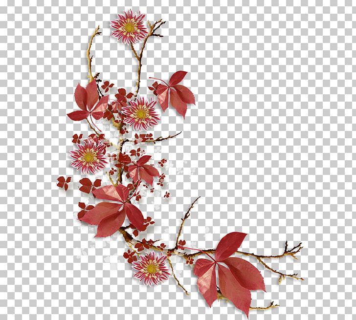 Floral Design Flower Garden Roses PNG, Clipart, Acab, Autumn, Autumn Leaf Color, Blossom, Blume Free PNG Download