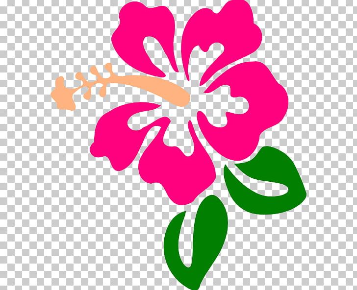 Hibiscus Schizopetalus Drawing Hawaiian Hibiscus PNG, Clipart, Blog, Computer, Cut Flowers, Flora, Floral Design Free PNG Download