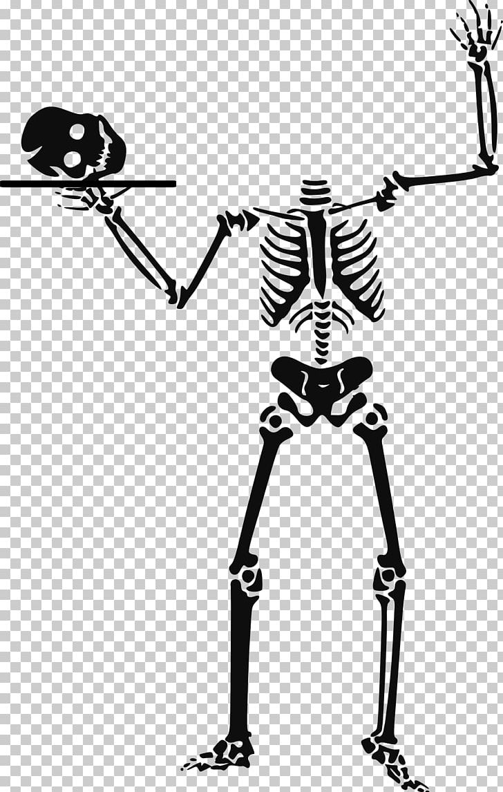 Human Skeleton Skull PNG, Clipart, Black And White, Bone, Clip Art, Computer Icons, Fantasy Free PNG Download