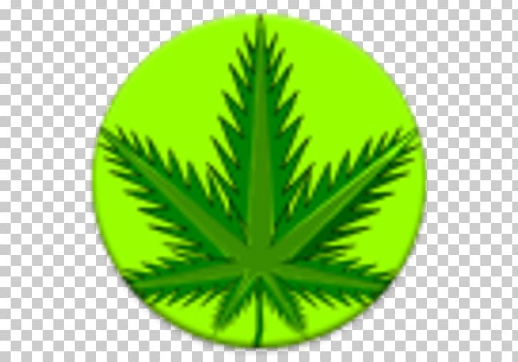 Kindle Fire Cannabis Android PNG, Clipart, Android, App, Cannabis, Desktop Wallpaper, Fall Free PNG Download