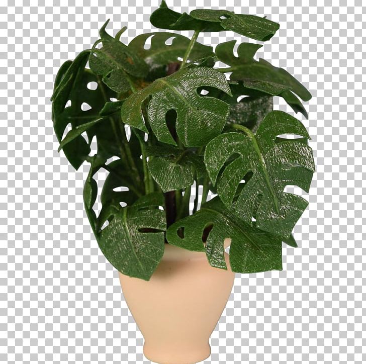Swiss Cheese Plant Dollhouse Houseplant Flowerpot 1:12 Scale PNG, Clipart, Doll, Dollhouse, Flowerpot, Herb, Houseplant Free PNG Download