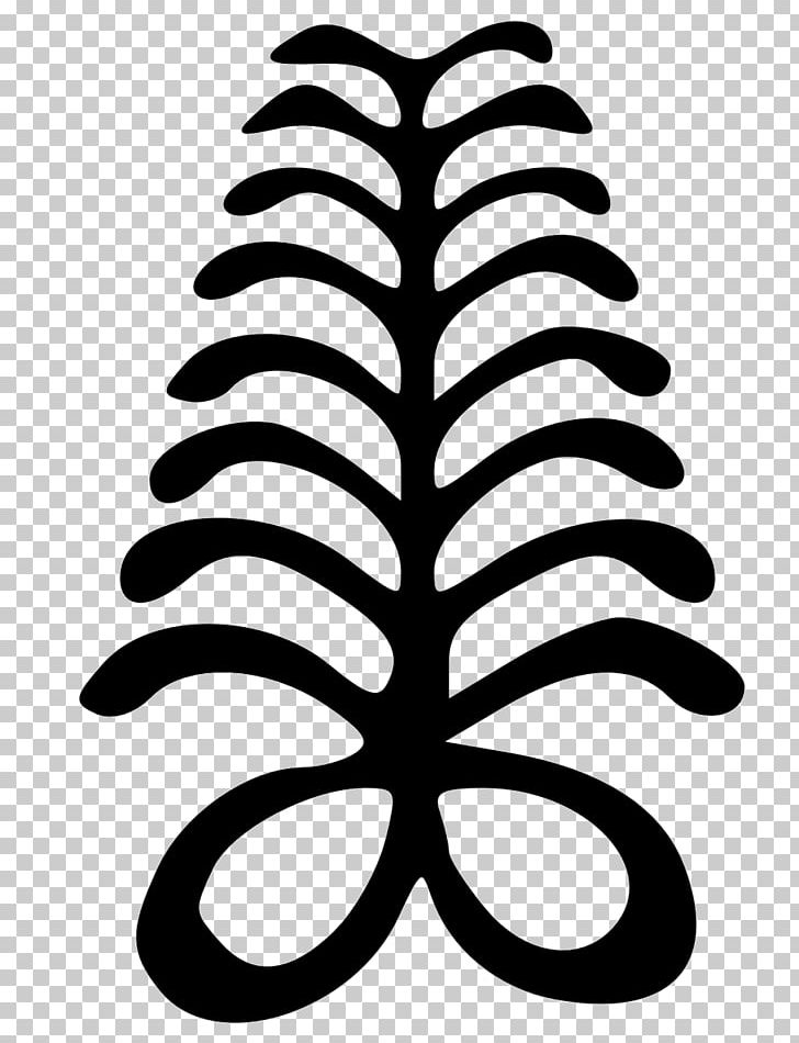 My latest back piece Adinkra symbol for adaptability Fits my go with the  flow attitude  rtattoos