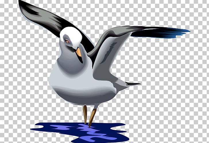Gulls Bird Animation Cartoon PNG, Clipart, Animals, Beak, Creative, Dove Pattern, Drawing Free PNG Download