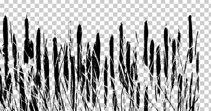 Pattern Desktop Grasses Computer Font PNG, Clipart, Black And White, Branch, Branching, Computer, Computer Wallpaper Free PNG Download