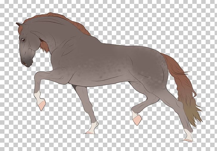 Stallion Mustang Foal Pony Mare PNG, Clipart, Animal, Animals, Bridle, Colt, Fauna Free PNG Download
