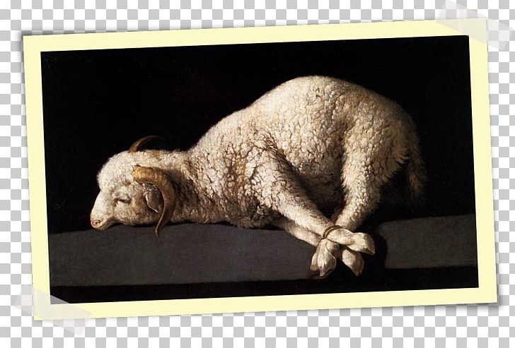 Bible Liturgy Westminster Confession Of Faith God The Lamb PNG, Clipart, Anglicanism, Bible, Christianity, Fauna, God Free PNG Download