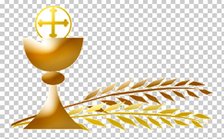 First Communion Eucharist Extraordinary Minister Of Holy Communion Parish Mass PNG, Clipart, Catholic Church, Communion, Eucharist, First Communion, Gold Free PNG Download