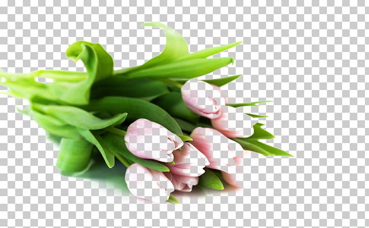 Flower Bouquet Tulip White PNG, Clipart, Color, Cut Flowers, Floral Design, Floristry, Flower Free PNG Download