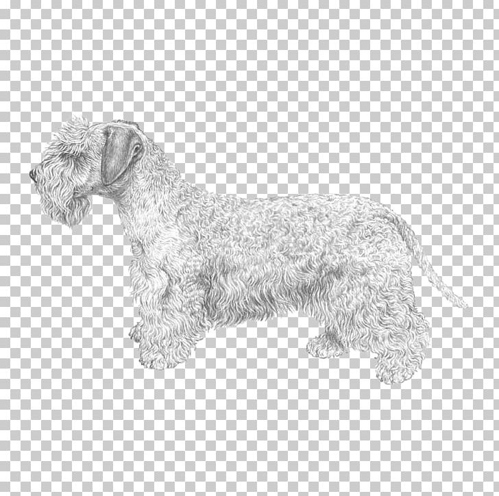 Miniature Schnauzer Cesky Terrier Glen Lakeland Terrier Scottish Terrier PNG, Clipart, Bread Pan, Bull Terrier, Carnivoran, Dog Breed, Dog Like Mammal Free PNG Download
