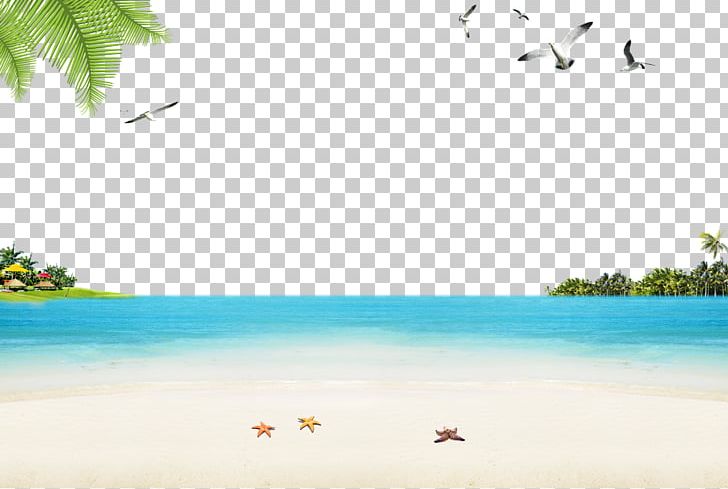 Sandy Beach Ocean Beach PNG, Clipart, Area, Beach, Beach Ball, Beaches, Beach Party Free PNG Download
