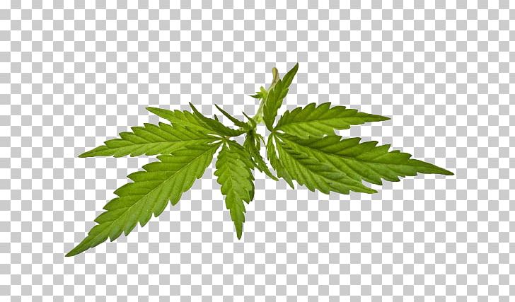 blunt png weed