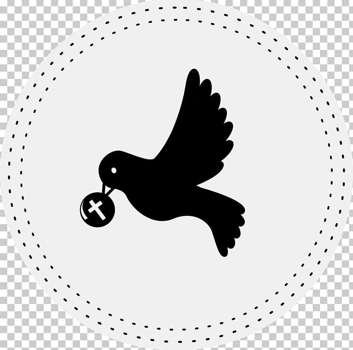 First Communion Baptism Eucharist PNG, Clipart, Album, Baptism, Beak, Bird, Black Free PNG Download