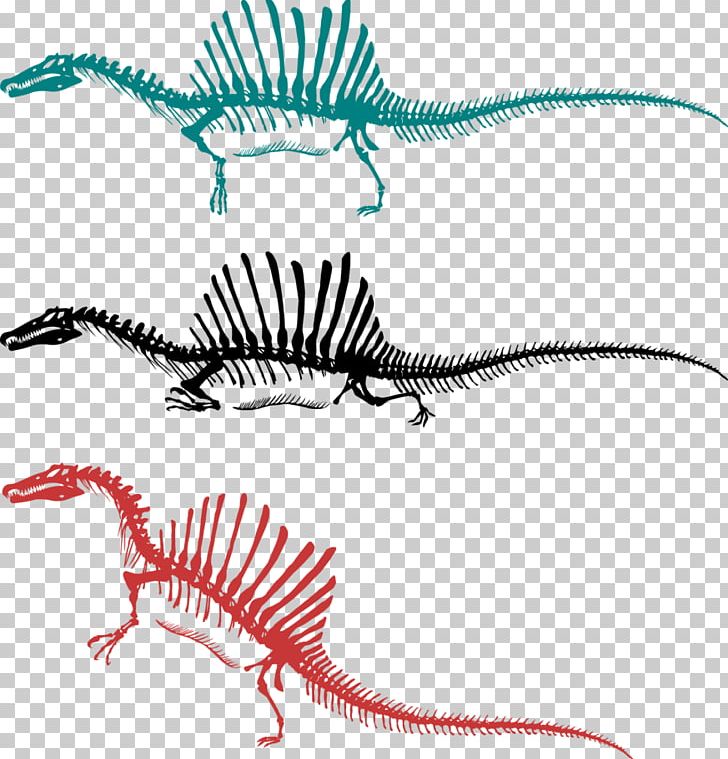 Spinosaurus Tyrannosaurus Skeleton Bipedalism Dinosaur PNG, Clipart, Amphibian, Animal Figure, Animal Locomotion, Bipedalism, Carnivore Free PNG Download