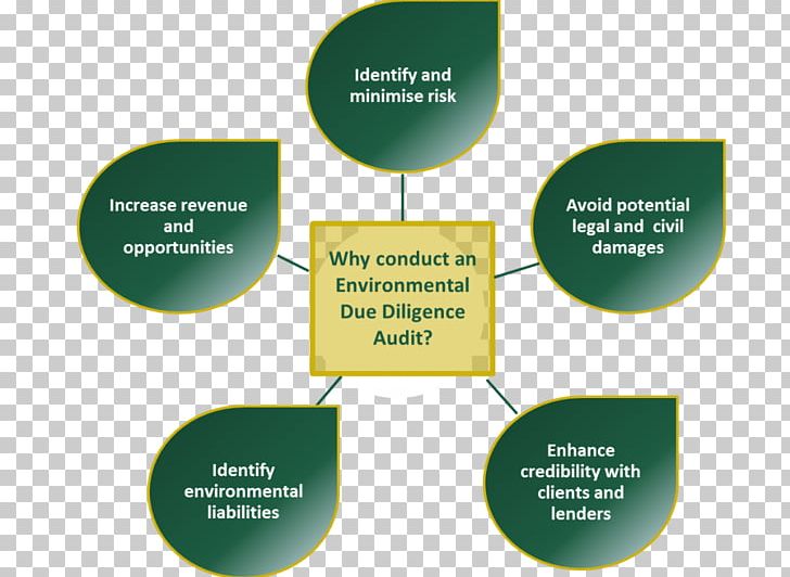 Due Diligence Environmental Audit Organization Natural Environment PNG, Clipart, Asset, Audit, Brand, Business, Business Process Free PNG Download